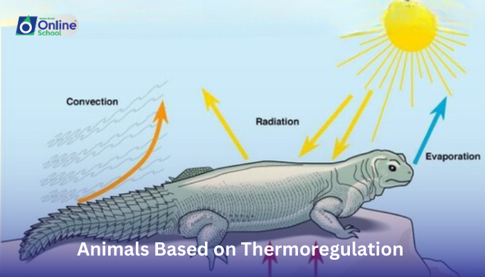 Lesson 23: Classification of Animals Based on Thermoregulation Ability